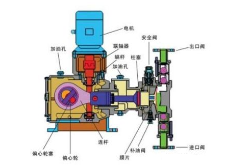 計(jì)量泵結(jié)構(gòu)圖